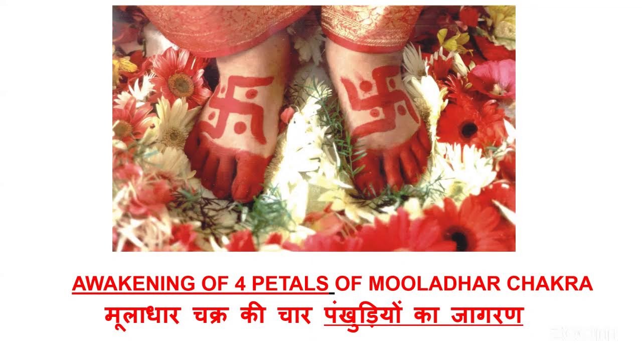 Virat Daily Meditation 27th Feb 2026 8:20 am Awakening of 4 petals