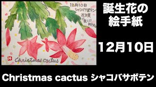 誕生花の絵手紙 12月10日 Christmas Cactus シャコバサボテン Youtube