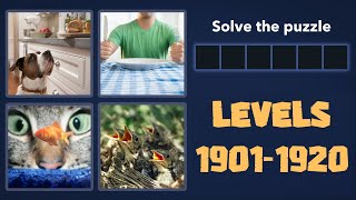 4 Pics 1 Word Levels 1901 - 1920 Answers screenshot 5