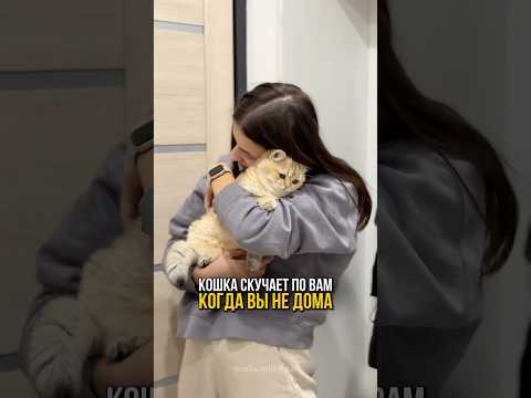 А вы знали что кошки скучают по вам, когда вы отсутствуете? 🐱🫶