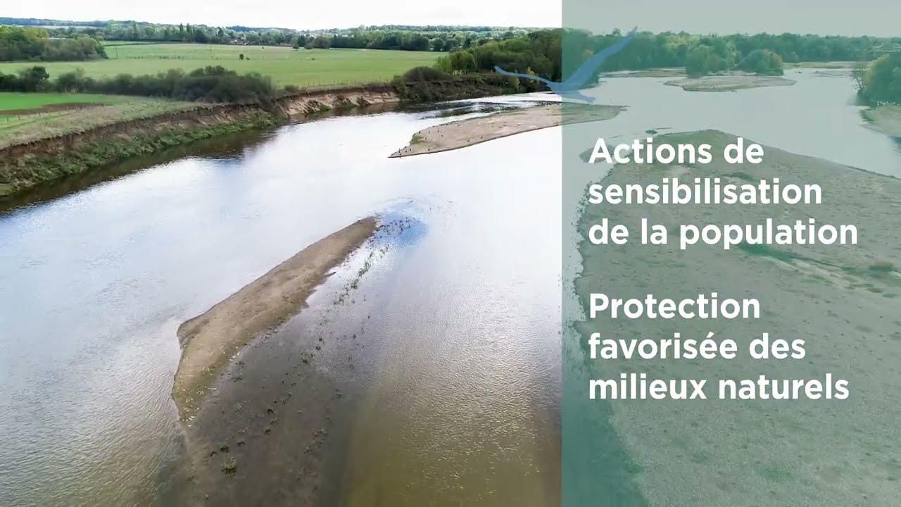 Notre Loire Grandeur Nature : regards croisés d'acteurs sur la gestion du site du Bec d'Allier