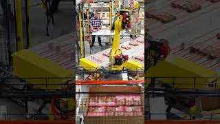 High-speed pick and place robots automate bag handling #shorts #robotics #automation #fanuc