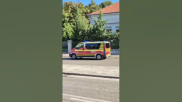 Hungarian Patient Transporter Unit 