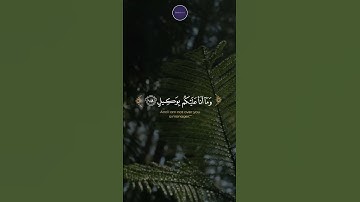قُلْ يَا أَيُّهَا النَّاسُ قَدْ جَاءَكُمُ الْحَقُّ مِن رَّبِّكُمْ ۖ #قرآن #تلاوة_عذبة #تلاوة_جميلة