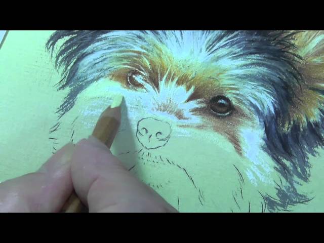 Pastel Pencil Art Techniques by Colin Bradley: Learn How to Draw with Pastel  Pencils — Art is Fun