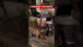 365 days dog Seva challenge 🙏🐶 #hardwork #challenge #animals #vlog #souravjoshivlogs #news #songs