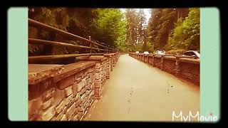 A walk in Mill Creek, WA.