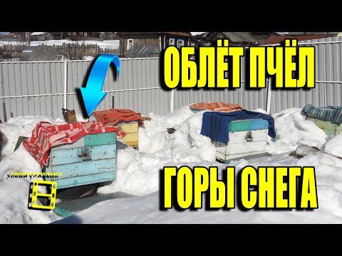 ОРГАНИЗАЦИЯ ПЕРВОГО ВЕСЕННЕГО