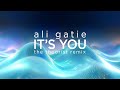 Ali Gatie - It&#39;s You (The Theorist ELECTRONIC REMIX)