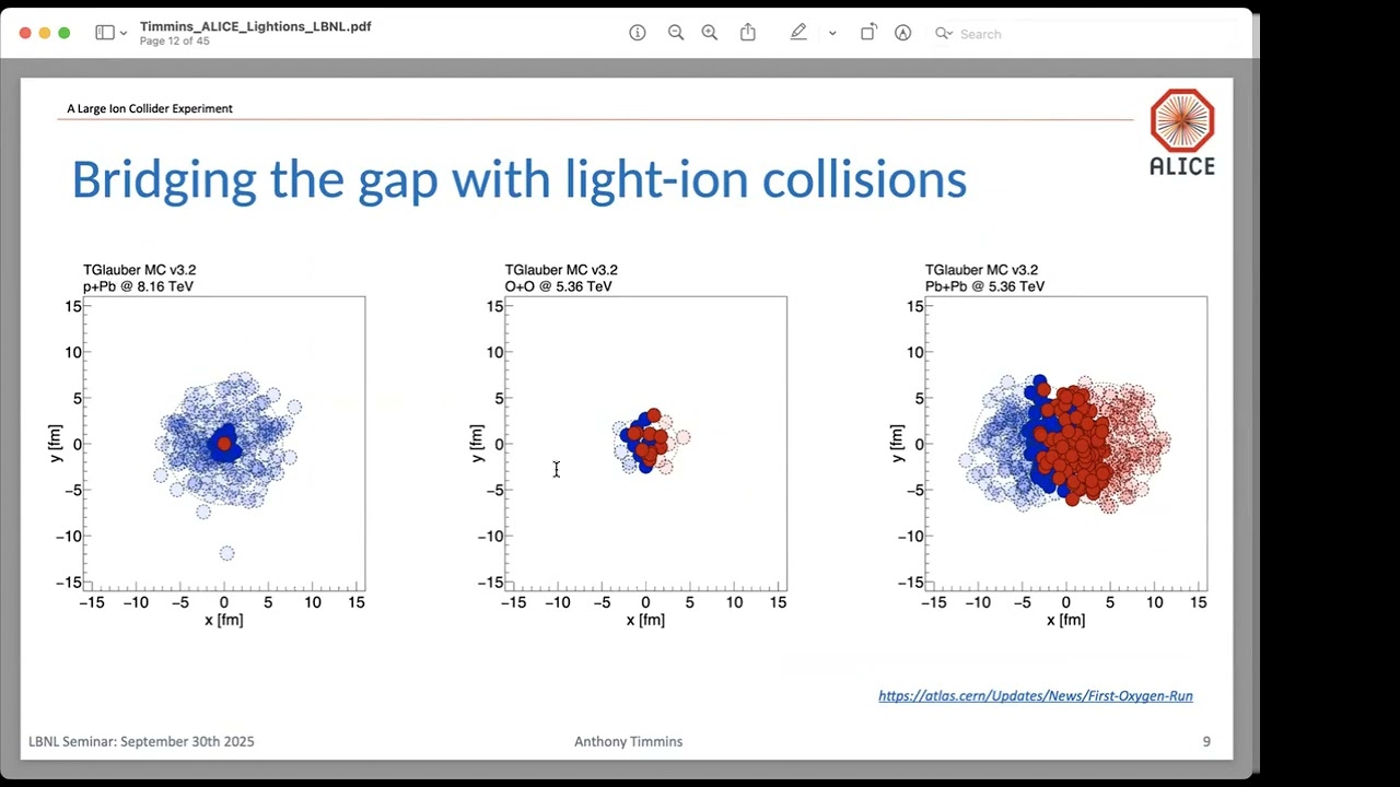 Recent results from light-ion collisions by ALICE at the LHC