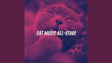 Pulsating Moods for Cats