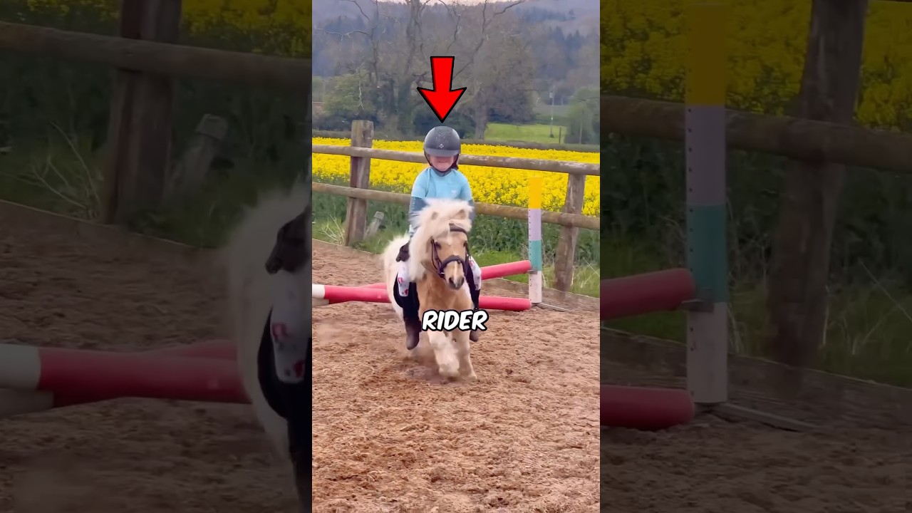 Kids Riding Horses From Childhood 