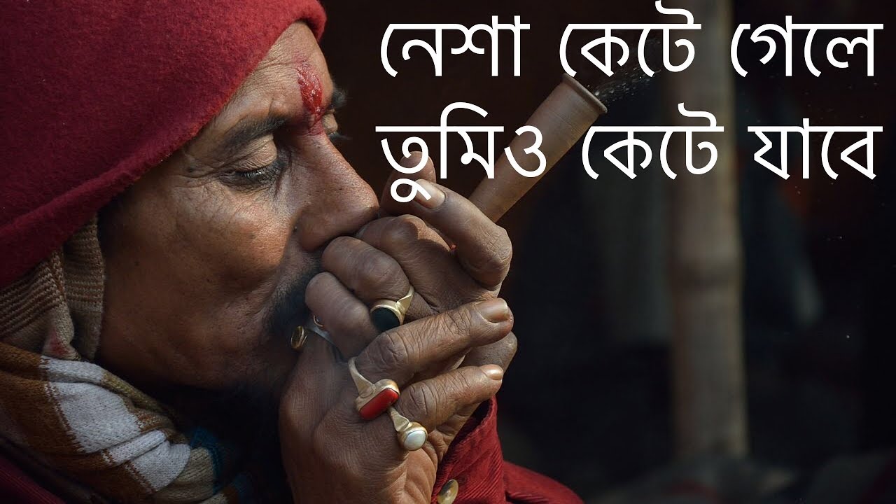 Tamak Pata Shilajit YouTube