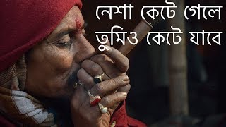 tamak pata shilajit