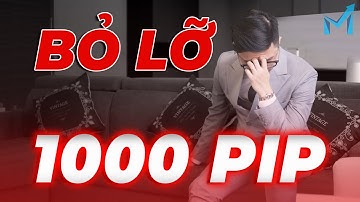 Buồn Thực Sự!!! Mình Đã Mất Chuỗi Thắng 1000 Pips Rồi :((( - mInvest Thực Chiến
