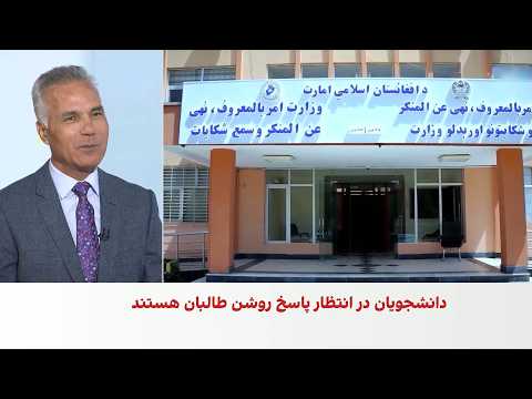 حبیبی: در ساختار طالبان «جزایر قدرت» وجود دارد
