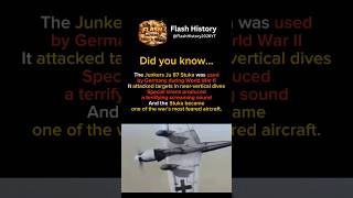 The Stuka #shorts #history #ww2 #germany #plane