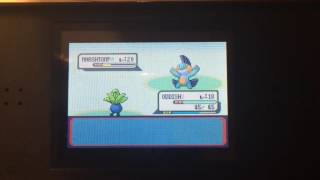 Pokemon Ruby - Second Battle vs Rival Brendan