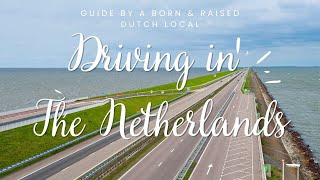 Driving in The Netherlands: Dutch Driving & Car Culture, Rules, Tips, Traffic Signs and More