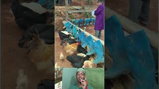 Incredible Homemade Tool | মুরগিকে খাওয়ানোর এমন সস্তা ও সহজ পদ্ধতি আগে দেখেননি 🐔 #shorts #skills
