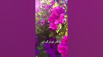 سورة القدر #قران_كريم #الحمدلله_دائماً_وابداً #دعاء #alquran #تلاوة_خاشعة #القران_الكريم_راحه_نفسية