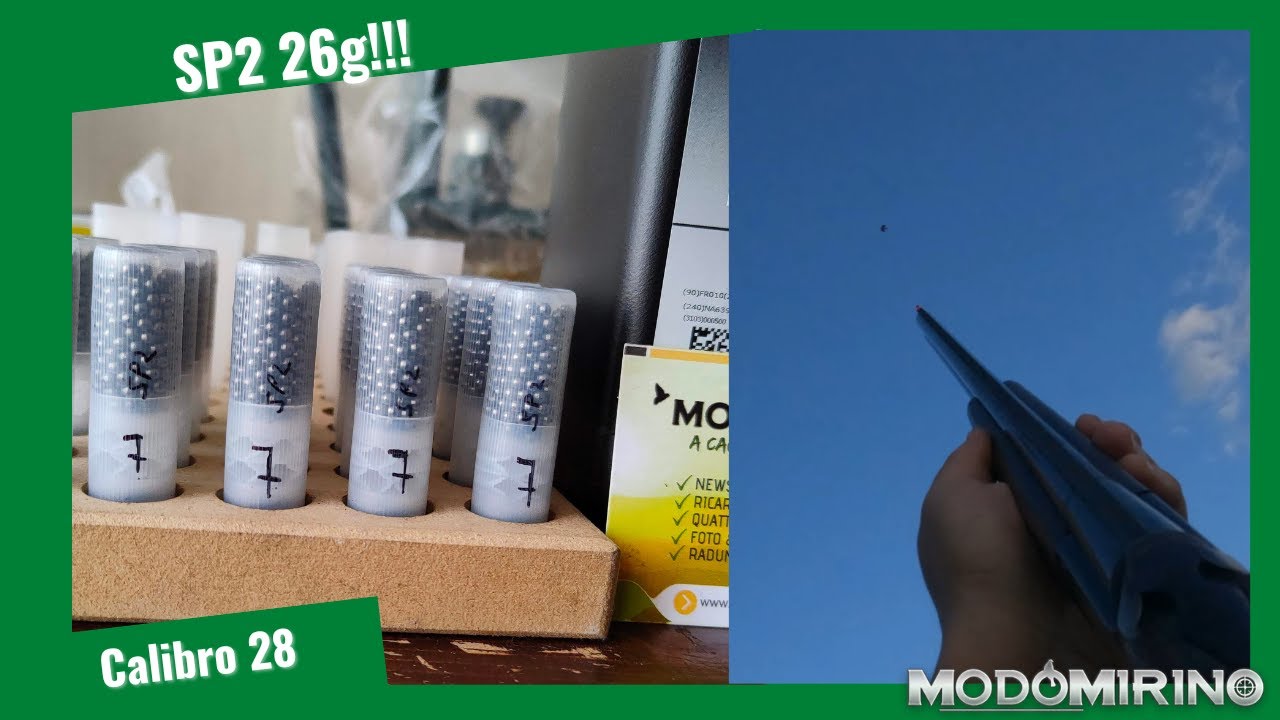 SP2 in cal.28 26g per colombacci e fagiani