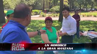 Migrantes ecuatorianos en Estados Unidos se congregan para apoyarse