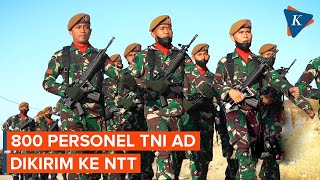 800 Personel Tni Ad Dikirim Ke Ntt Jaga Perbatasan Ritimor Leste