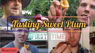 REACTION? || Tasting sweet Plum first time... || #plum #variety #reaction #video @UKPlumFarming
