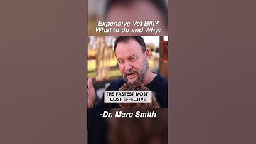 Thumbnail of How to Save Money at the Vet by Marc Smith, DVM, MS #shorts