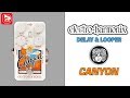 Гитарная педаль Electro-Harmonix Canyon Delay & Looper