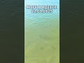 Море В Одессе 22.09.2025 – Чистая Вода, Пляж, Погода И Атмосфера Лета 🌊☀️3