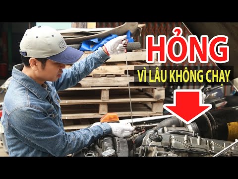 Video: Bạn có thể để xe bị hỏng trên xa lộ trong bao lâu?