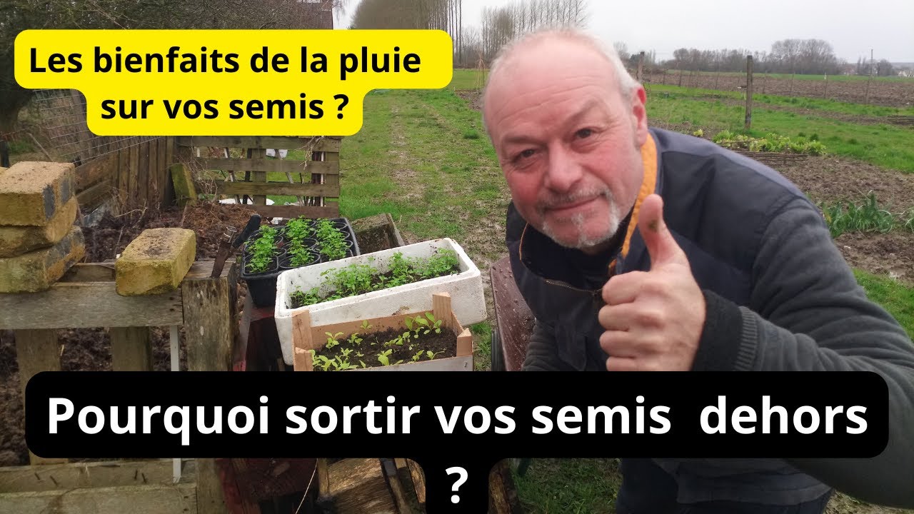 Quels sont les bienfaits de la pluie sur vos semis ? Pourquoi sortir