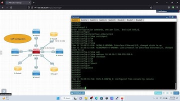 Configure CDP (Cisco Discovery Protocol) and Inspect CDP packet using WireShark | Lab - 8 | CCNA Lab