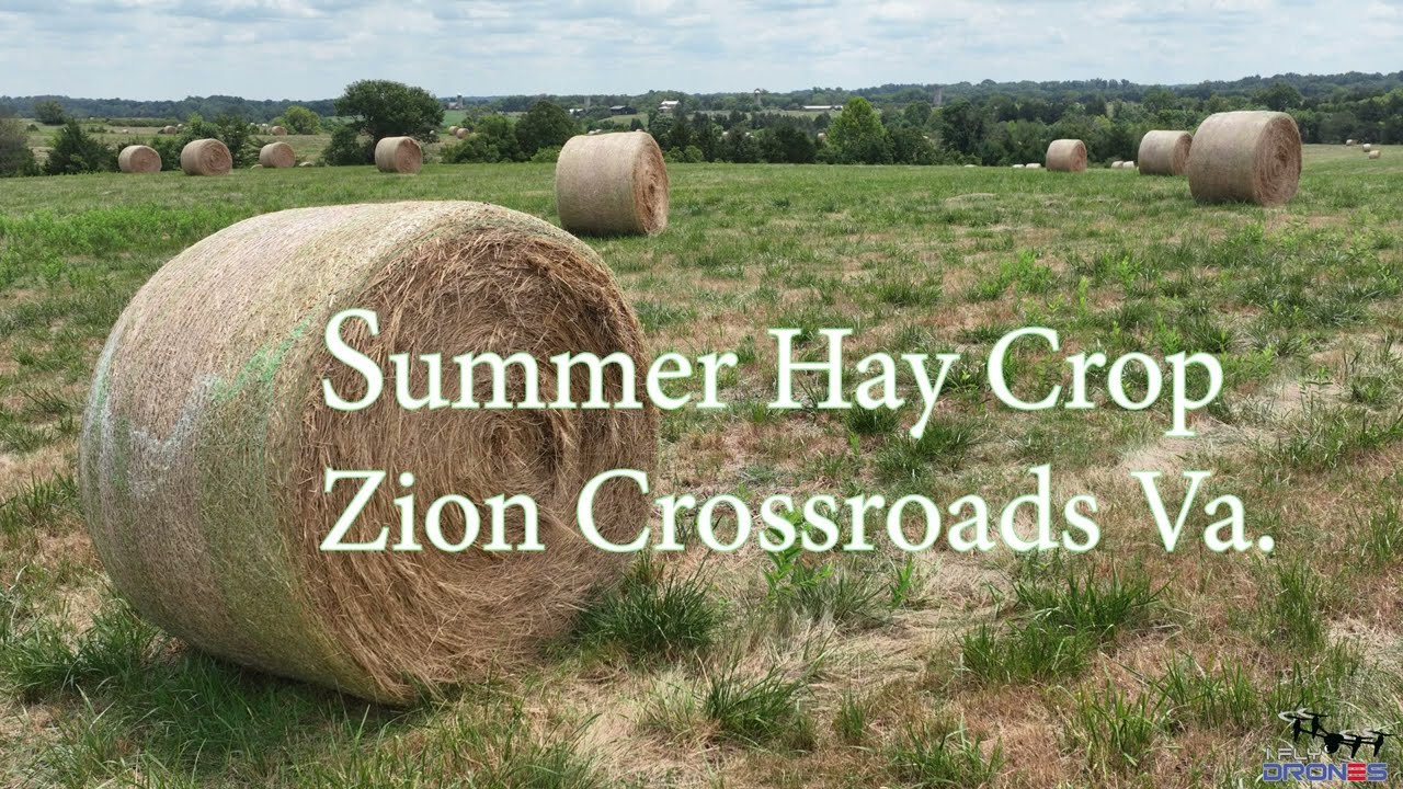 Summer Hay Crop 2024 Zion Crossroads VA