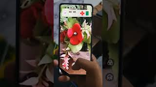 Realme gt 6T Camera Test!🔥 #viral #smartphone #realme #cameratest