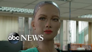 Creators Of Famous Sophia Robot Reveal Ai Robotics For Children Elderly Nightline