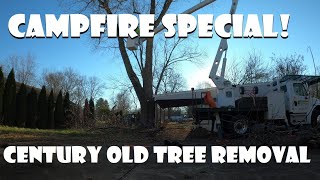 Campfire Special: Taking down a century old Silver Maple