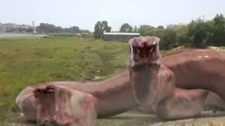 Alien worm