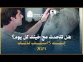 هل تتحدث مع خيلك كل يوم إليك 5 اسباب لذلك 2023