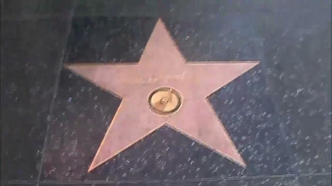 The Go Go s Every Star Has A Story All Female Rock Band from Los Angeles Vacation We Got the Beat