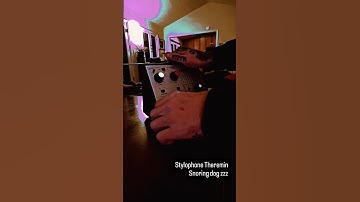Stylophone Theremin #one_claw_hammer #stylophone #theremin