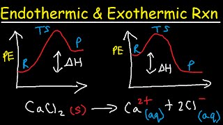 Endothermic and Exothermic Reactions