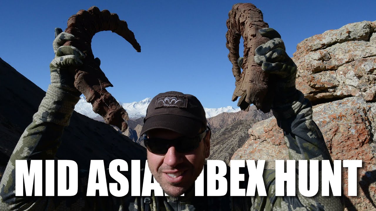 Mid Asian Ibex Hunt