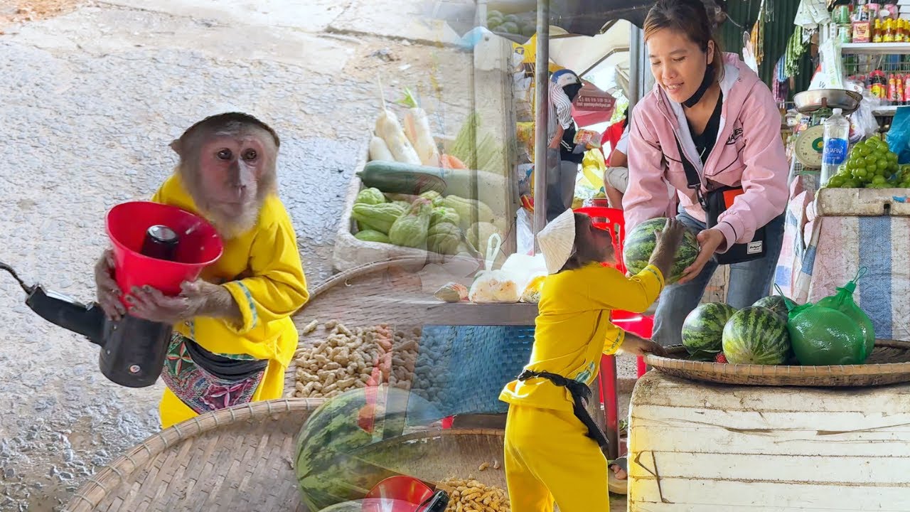 Big Surprise! CUTIS's Major Business Plan Unlike Anything Before!