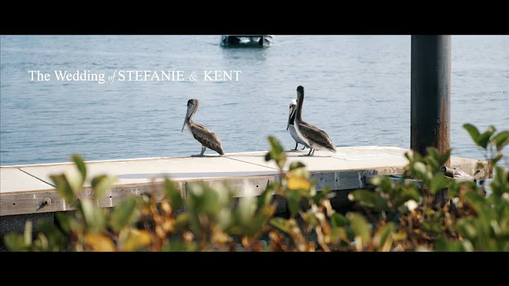 The wedding of Stefanie & Kent
