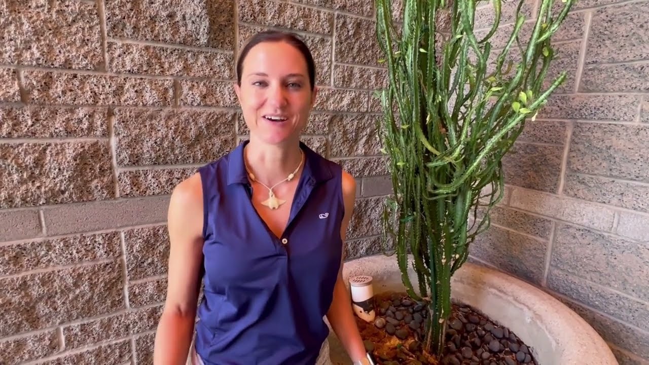 2022 Fall Clinical Dermatology Conference for PAs and NPs Testimonials