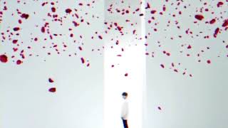 Jungkook X American Beauty