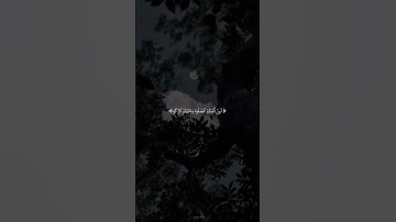 سورة المائدة   #القران الكريم #المنشاوي
